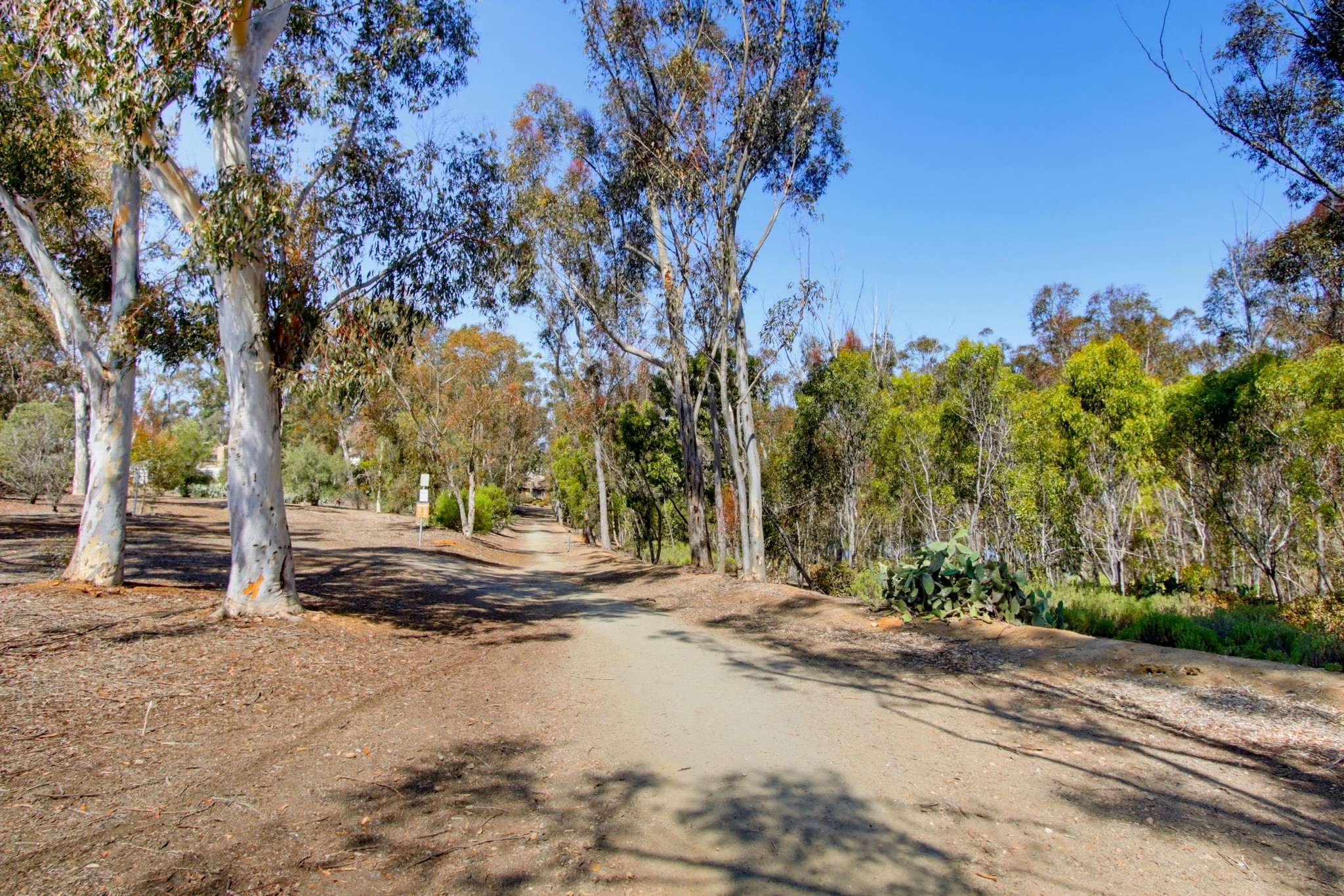Virtual tour photo 31 of 32 for 9849 Caminito Marlock Apt 26