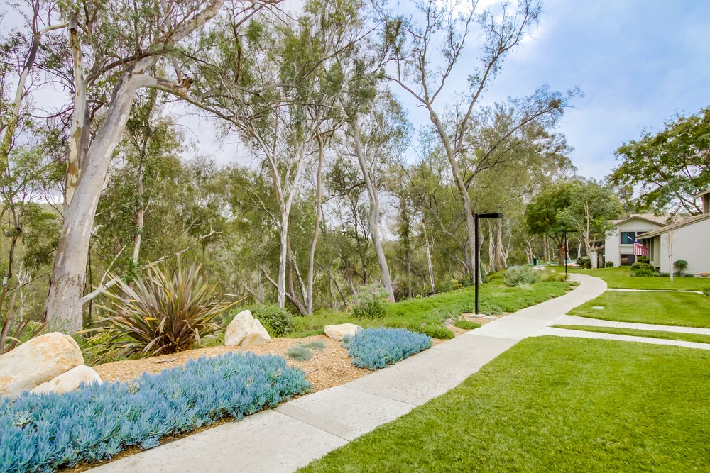Virtual tour photo 35 of 38 for 9869 Park Crest Ln