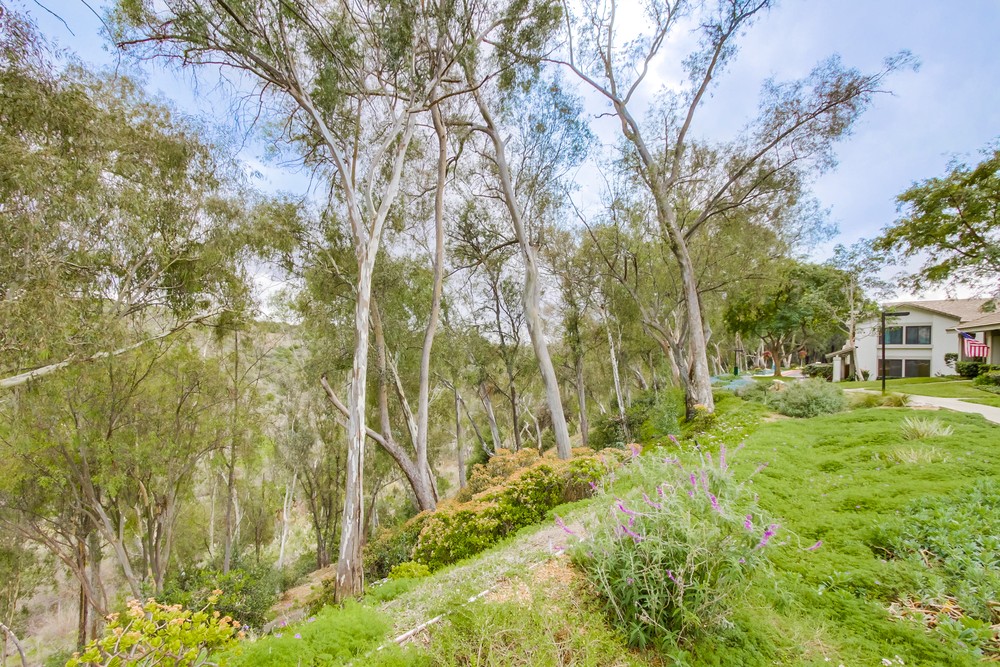 Virtual tour photo 36 of 38 for 9869 Park Crest Ln