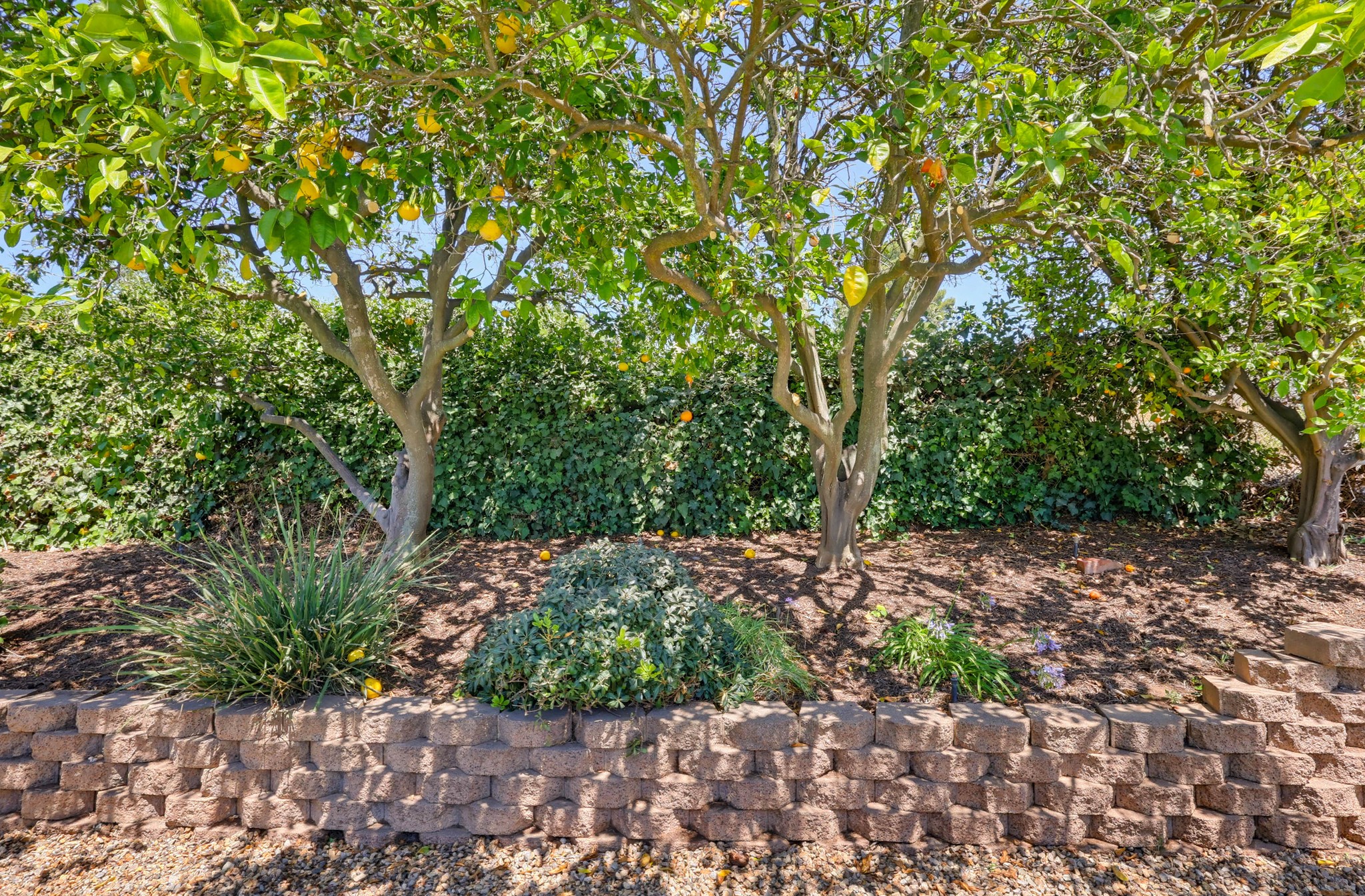 Virtual tour photo 92 of 115 for 991 Montgomery Ct