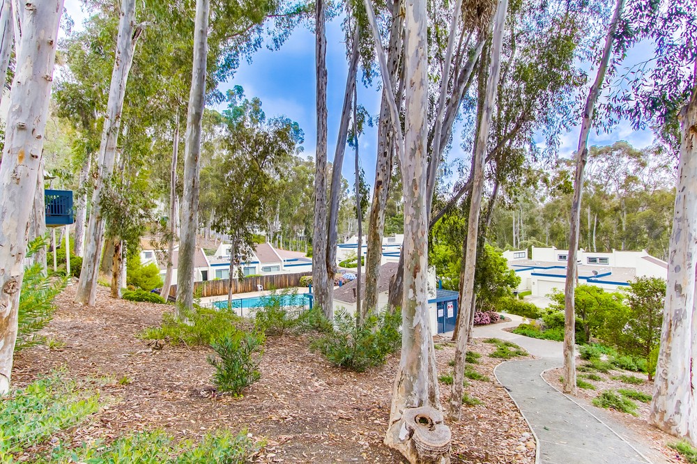 Virtual tour photo 35 of 42 for 9927 Caminito Tomatillo