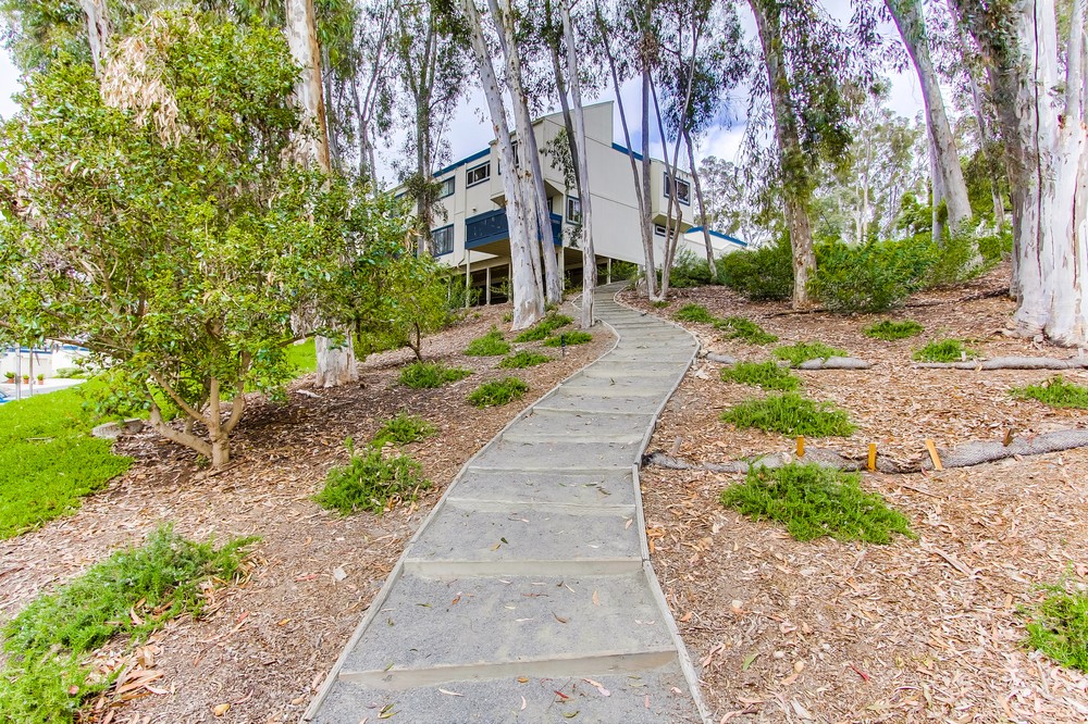 Virtual tour photo 37 of 42 for 9927 Caminito Tomatillo