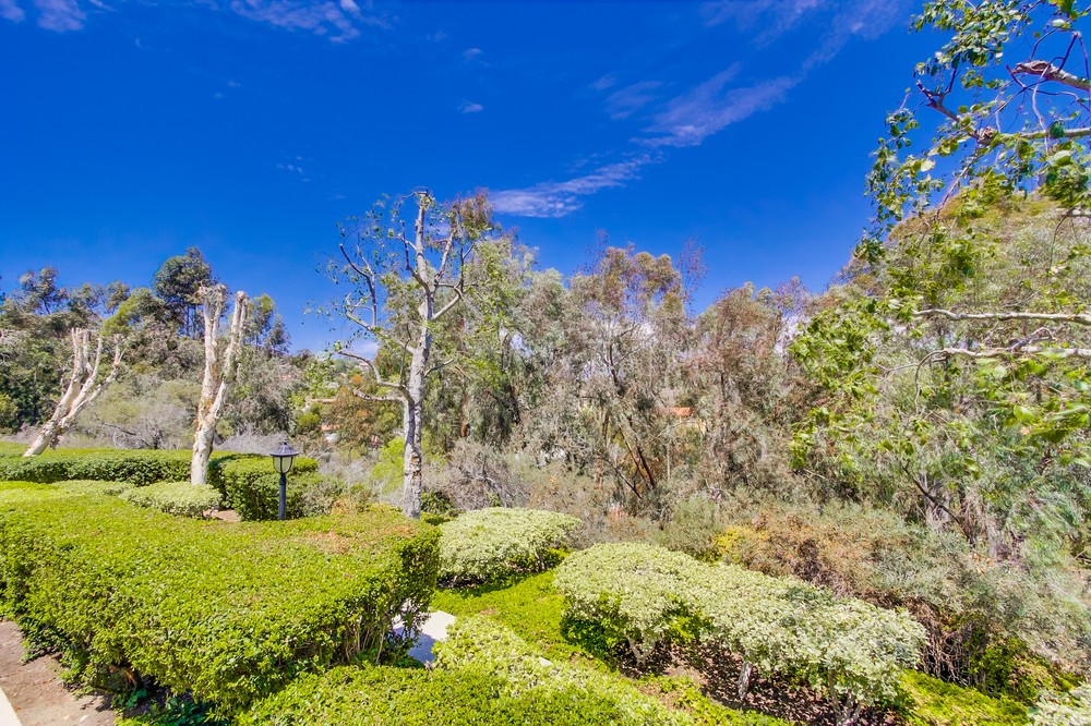 Virtual tour photo 44 of 53 for 9927 Paseo Montril