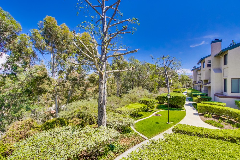 Virtual tour photo 45 of 53 for 9927 Paseo Montril