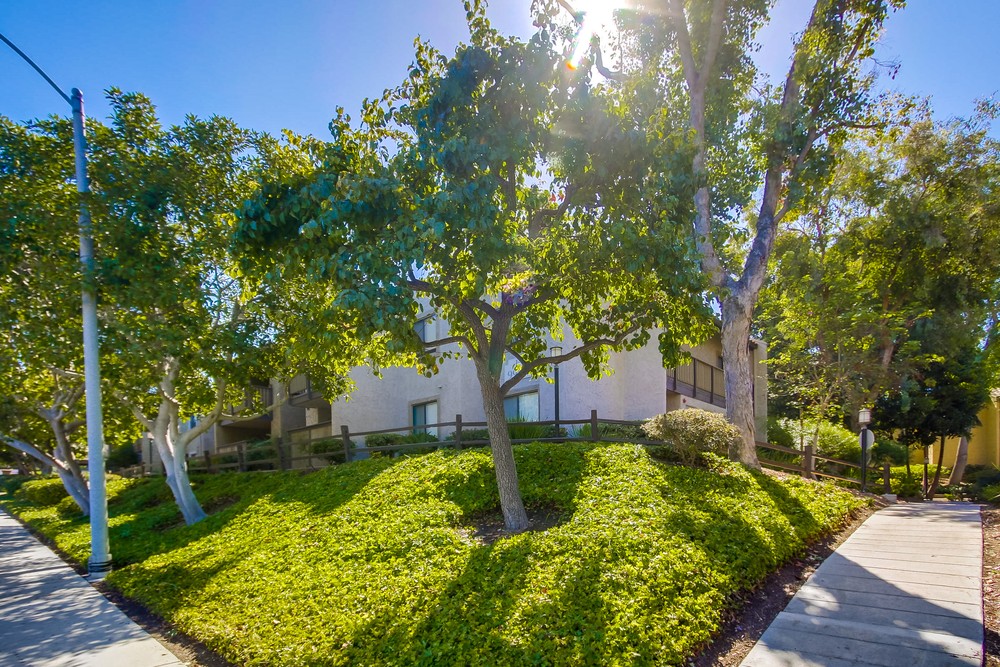 Virtual tour photo 41 of 41 for 9929 Azuaga St