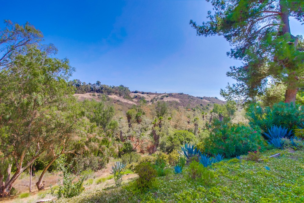 Virtual tour photo 50 of 50 for 9973 Lemonwood Ln