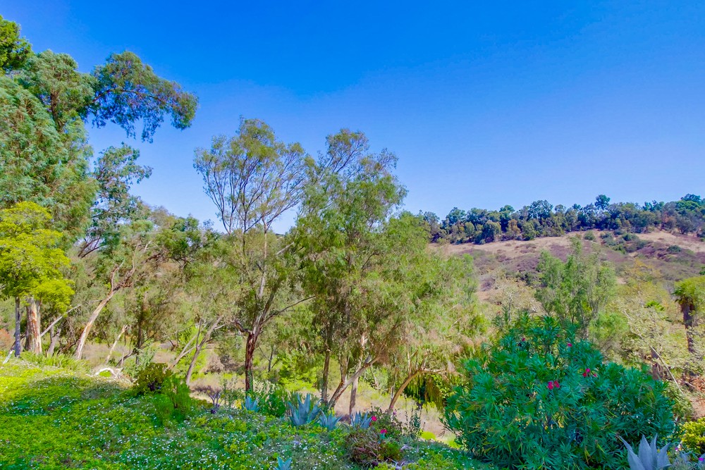 Virtual tour photo 51 of 50 for 9973 Lemonwood Ln