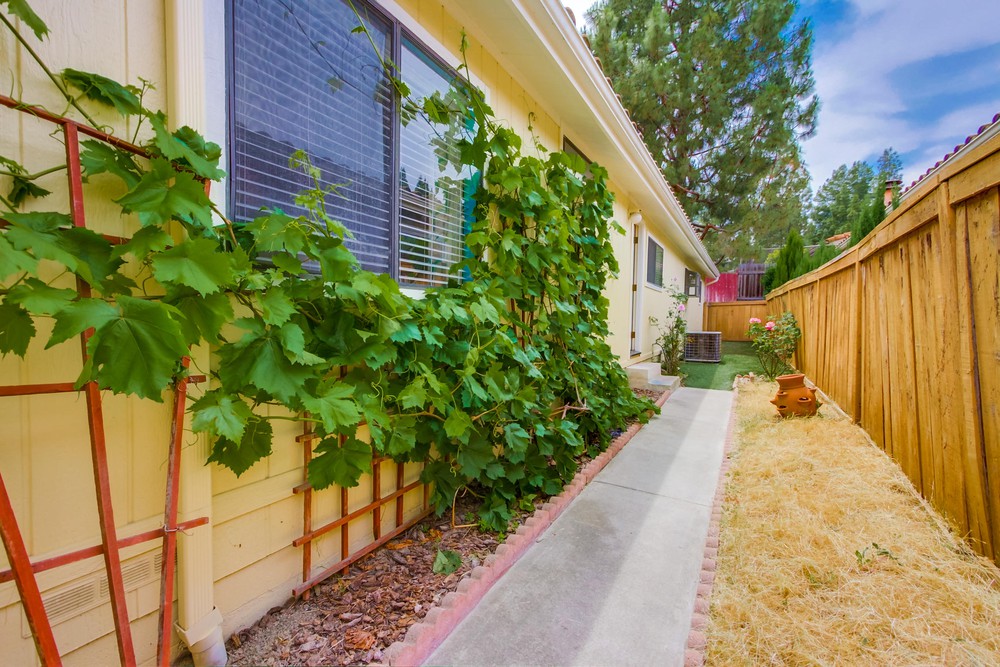 Virtual tour photo 44 of 44 for Avenida Venusto