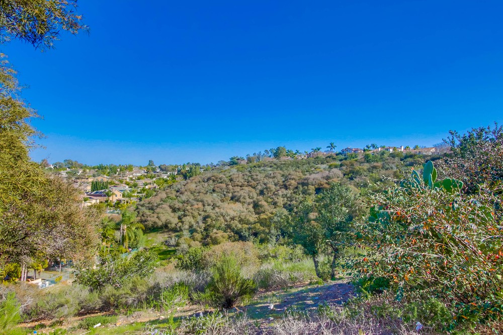 Virtual tour photo 32 of 38 for Scripps Creek Dr